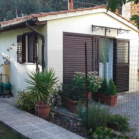 Da Lilly Apartment Lucca Eksteriør bilde