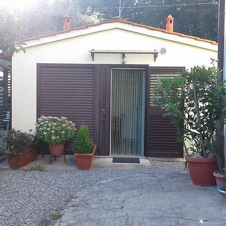 Da Lilly Apartment Lucca Eksteriør bilde