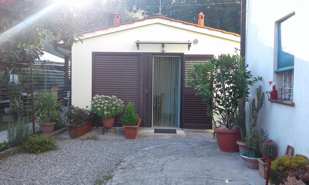 Da Lilly Apartment Lucca Eksteriør bilde